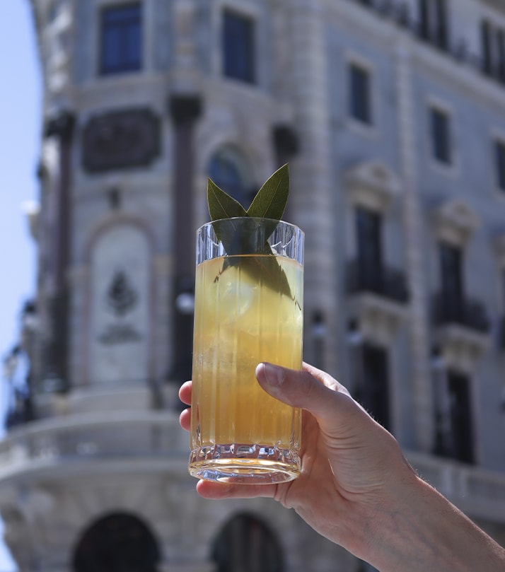 Cocteles