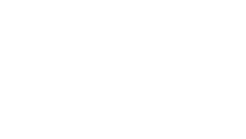 CASTIZO GENERAL