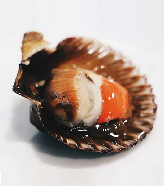 mariscos