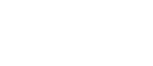 CASTIZO CANALEJAS F TRANSP 1