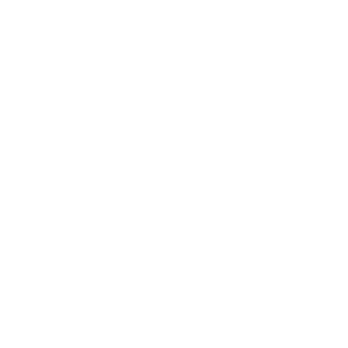 ROOFTOP-PABBLO logo-white Pabblo rooftop logo