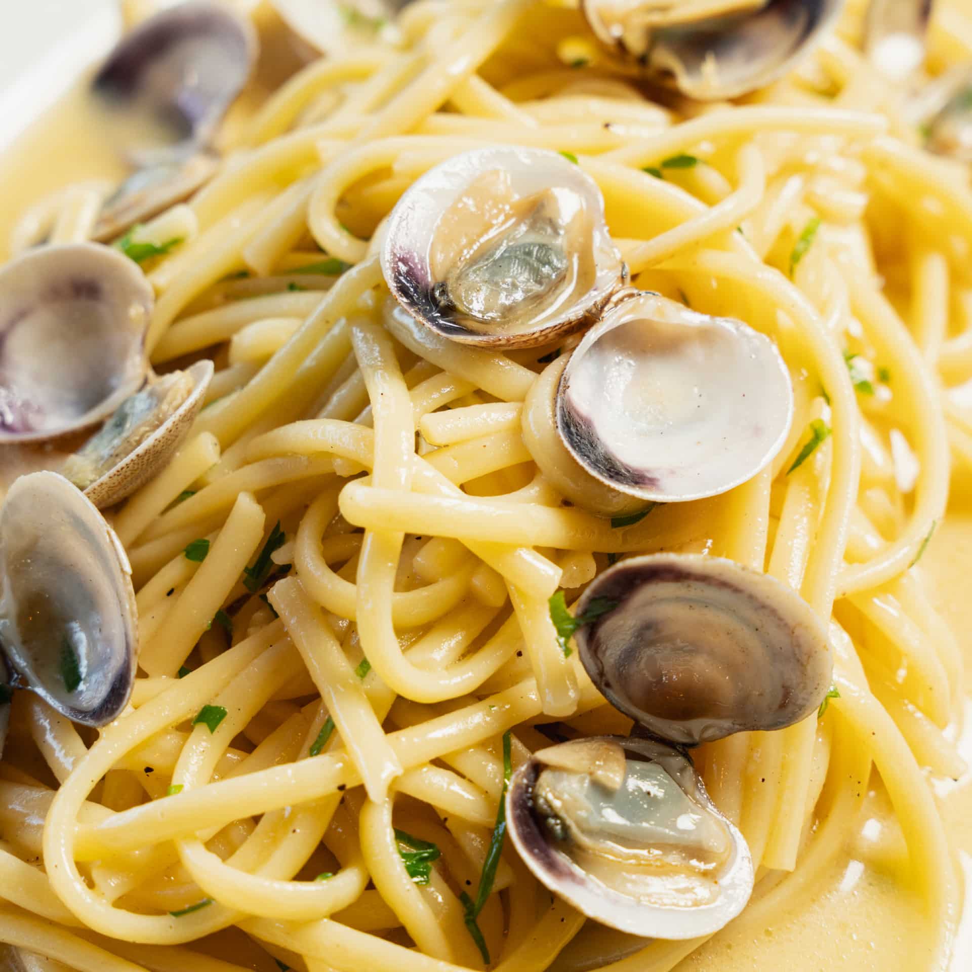chez-madrid-pasta Pasta carta bistro madrileño - Chez Madrid