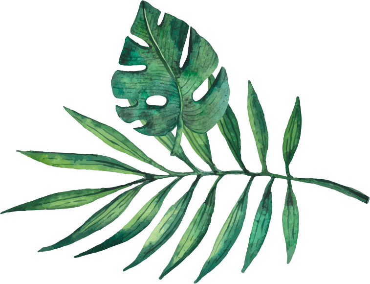 habanera-plants-01